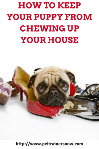 keep-my-puppy-from-chewing-up-my-house