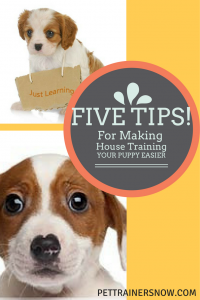 making-house-training-your-puppy-easier