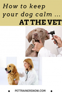 keep-your-dog-calm-at-the-vet-revised-template